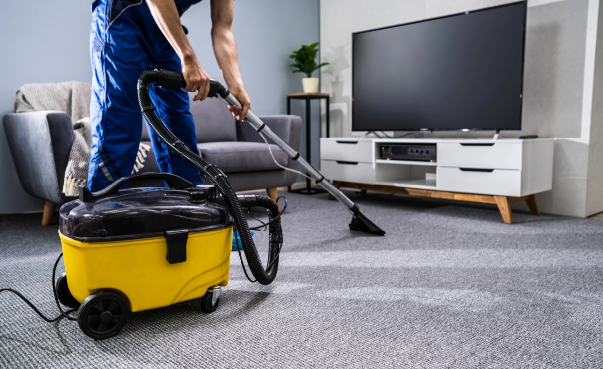 Extract Carpet Cleaning Pines Forest Contact Office